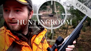 Drückjagd I 3 SAUEN in 20 Sekunden! HUNTINGROOM Clips #10
