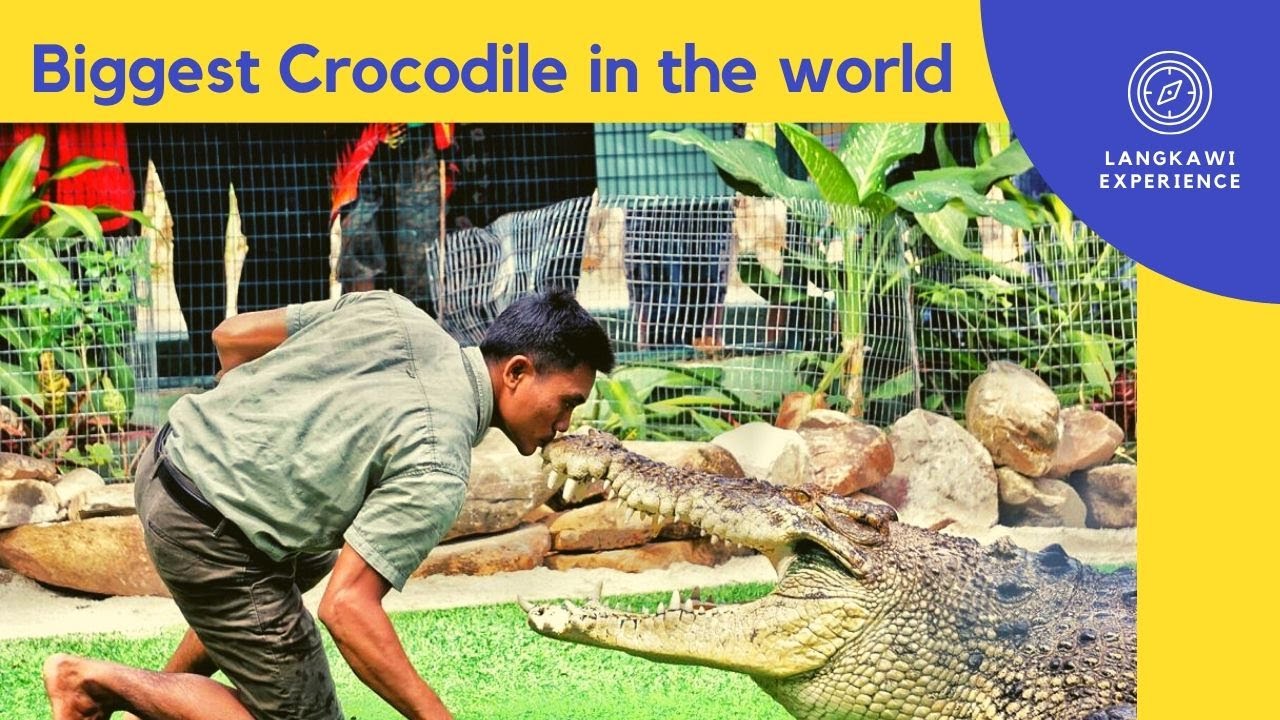 Experience the thrill at Crocodile Adventureland Langkawi - an unmissable destination!