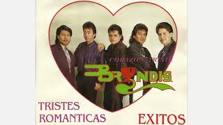 Tu voz y mi dolor - Bryndis