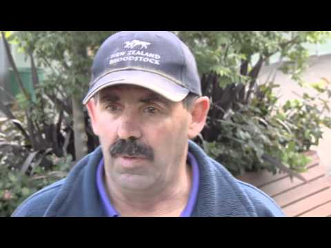 Emirates Stakes Day preview - Gai Waterhouse Stable