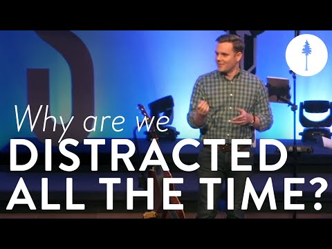 Why Are We Distracted All the Time? | Dan Cole