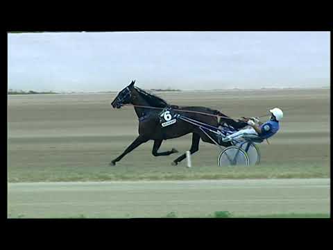 Napoli Trotto 17/09/2021 - 7ª corsa