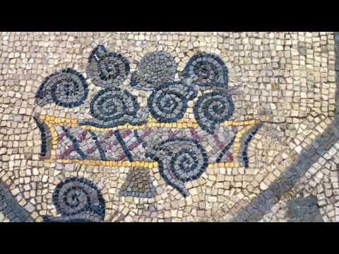 Aquileia 1 Minute V4 2019