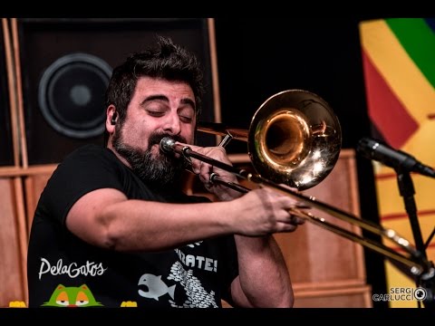 download lagu mp3 mp4 Trombon Reggae, download lagu Trombon Reggae gratis, unduh video klip Trombon Reggae