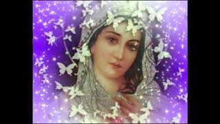 Orando Contigo el Santo Rosario