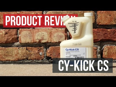 Cy-Kick CS: Product Review