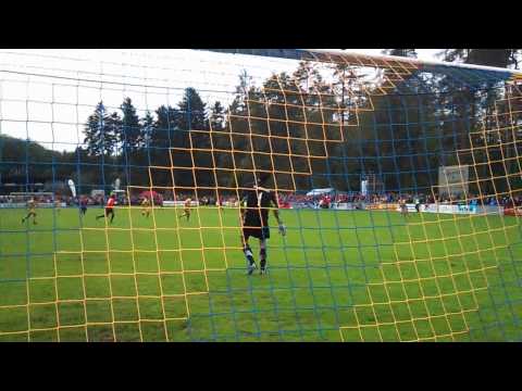 3:0 für Werder Bremen vs TSV Höpfingen