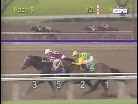 1995 Santa Ynez Stakes