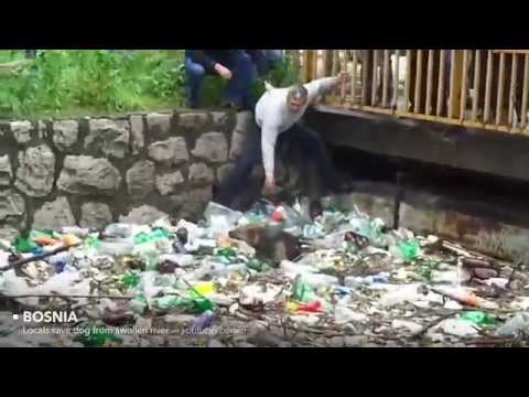 Em menos de 4 minutos você vai restaurar sua fé na humanidade!