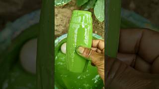 Download lagu A RAM SAM SAM chiki tonz 🍅✋🍓🍉🔴🎨 #youtubeshorts #funny #cutebabyfunn #cute mp3