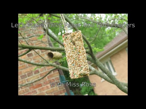 Let's Make Toilet Paper Roll Bird Feeders with Miss Rose