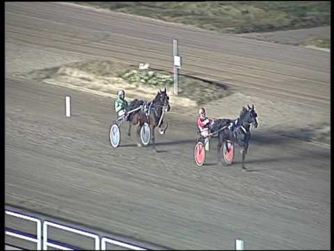 Trotto 27/01/2017 - prova di qualifica