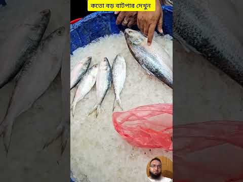 #assamtezpur #automobile #youtubeshorts #trending #azimpur