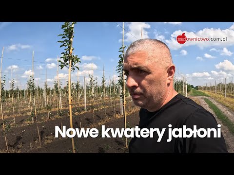 Co posadziłem w 2024 roku - odmiany jabłoni