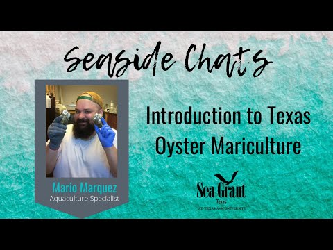 Seaside Chats -  Introduction to Texas Oyster Mariculture