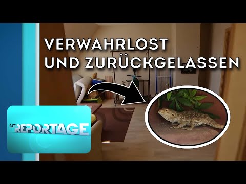 Gefahr bei Zwangsräumung: Tierquälerei aufgedeckt | 2/2 | Die SAT.1-Reportage