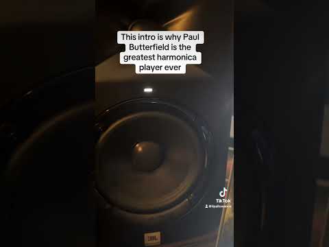 Harmonica, Paul Butterfield, Paul Butterfield blues band