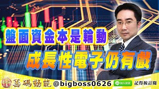【大戶羅盤籌碼動能】 #謝宗霖 0615，盤面資金本是輪動 成長性電子仍有戲 (圖)