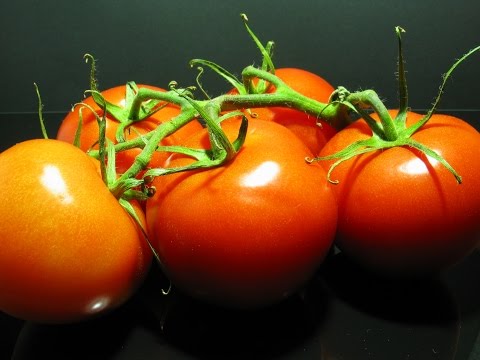Tomato Timelapse - Zeitraffer Tomaten