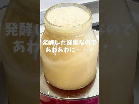 園芸 キャスターケーキ