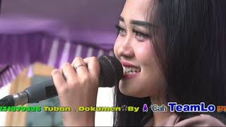Download lagu BIDADARI CINTA - NURMA KDI By MARCELLA Music PToeX Audio Tuban Cah TeamLo Punya mp3