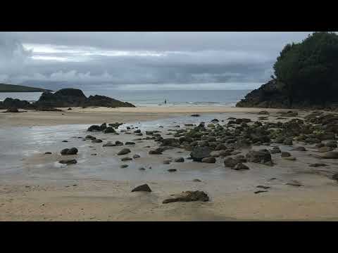 Fred Morrison uilleann pipes