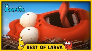 LARVA | BEST OF LARVA | Funny Cartoons for Kids | Cartoons For Children | LARVA 2017 WEEK 21