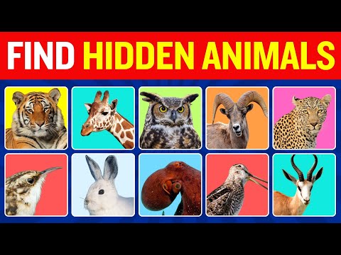 🔍 Can You Find All the Hidden Animals? 🧐🐾 | Animal Quiz