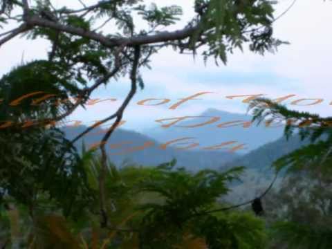 The Shelter of Your Arms - Sammy Davis, Jr.