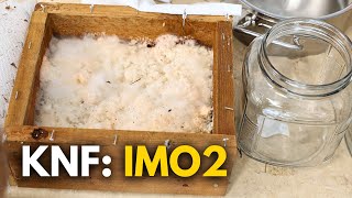 How to Make IMO2 | Korean Natural Farming Secrets