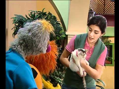 Cat and the Food - الطعام والقطه