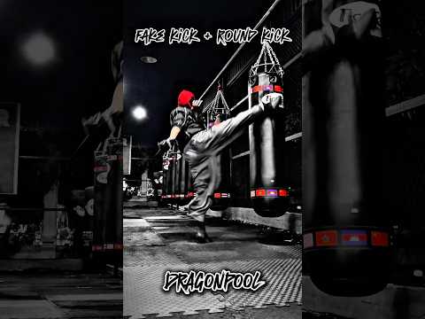 Fight skill combination #tutorial #shortvideo #shortsvideo #ytshorts #usa #korea #india #fight #yt