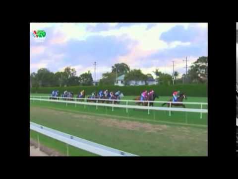 2015 BRC Brisbane Cup _ Jetset Lad