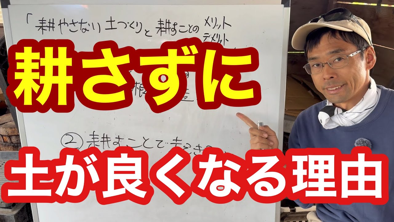 【不耕起栽培の土づくり】草と虫と微生物が土を育てる仕組みと耕すことで起きること《講義/自然栽培/農業/家庭菜園》
