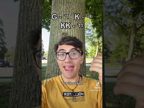 The Korean Writing System is Awesome!