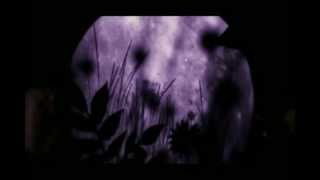 Edward Ka-Spel - 11.11.11
