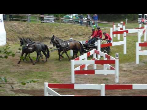 DUEN Rainer, GER , CAI 3# H4, Riesenbeck International 2017, Marathon 24 06 2017, Ob 6