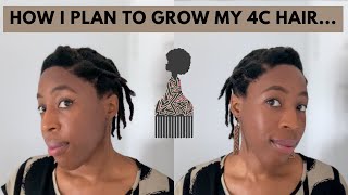 4C Hair Exposure Therapy, Crown Breakage, Low Manipulation + Hair Transplant Update