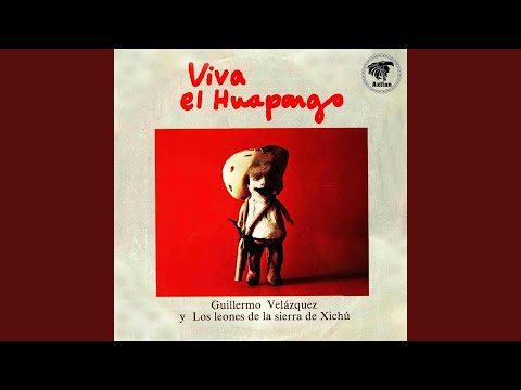 Ando Briago el Guitarrero