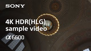 Video 0 of Product Sony A6600 APS-C Mirrorless Camera (2019)