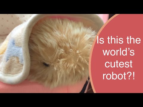 Moflin AI Robotic Pet Unboxing & First Impressions - Cutest Robot EVER 😲😍