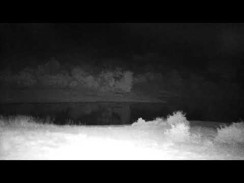 Djuma: Hippo grazing, then back into dam - 23:06 - 01/27/2023