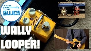 Hotone Skyline Wally Looper - What To Know & Where To Buy | Equipboard