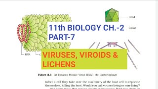 Class 11 Biology|Ch.-2 |Part-7||Virus,Viroids & Lichens||Study with Farru