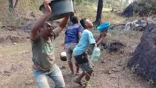 Download lagu Bilut insana mp3