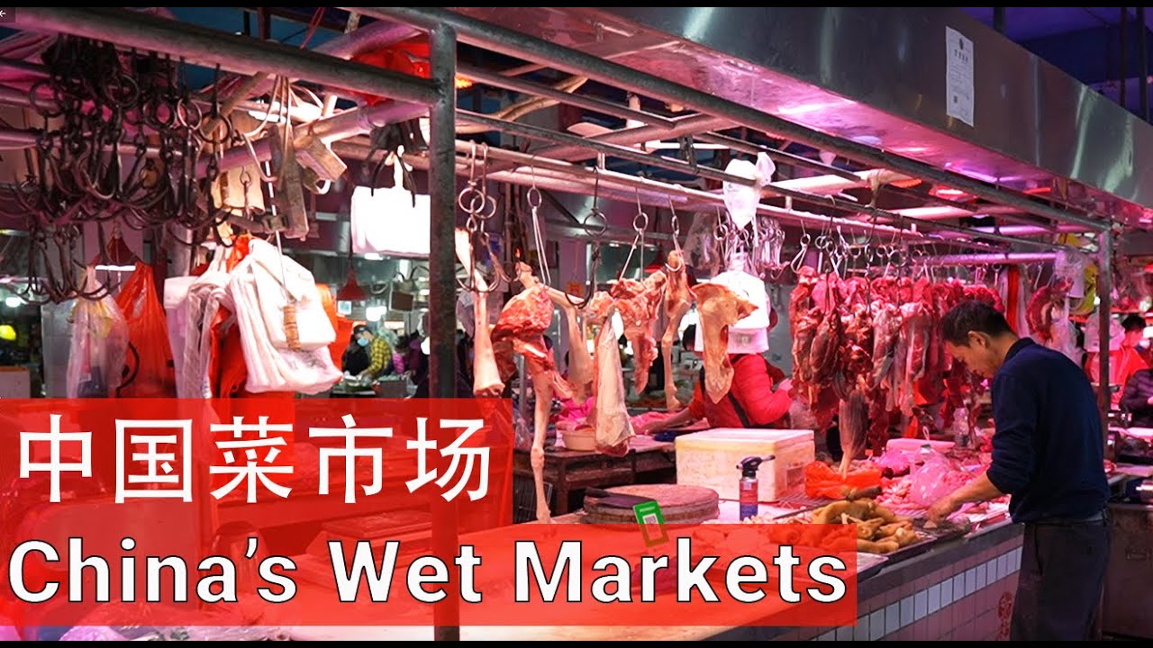 Inside a Real Chinese Wet Market