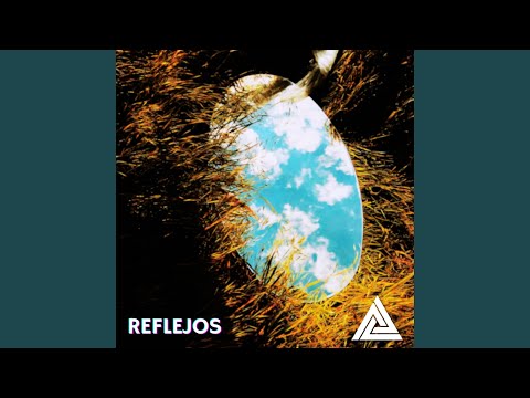 Reflejos