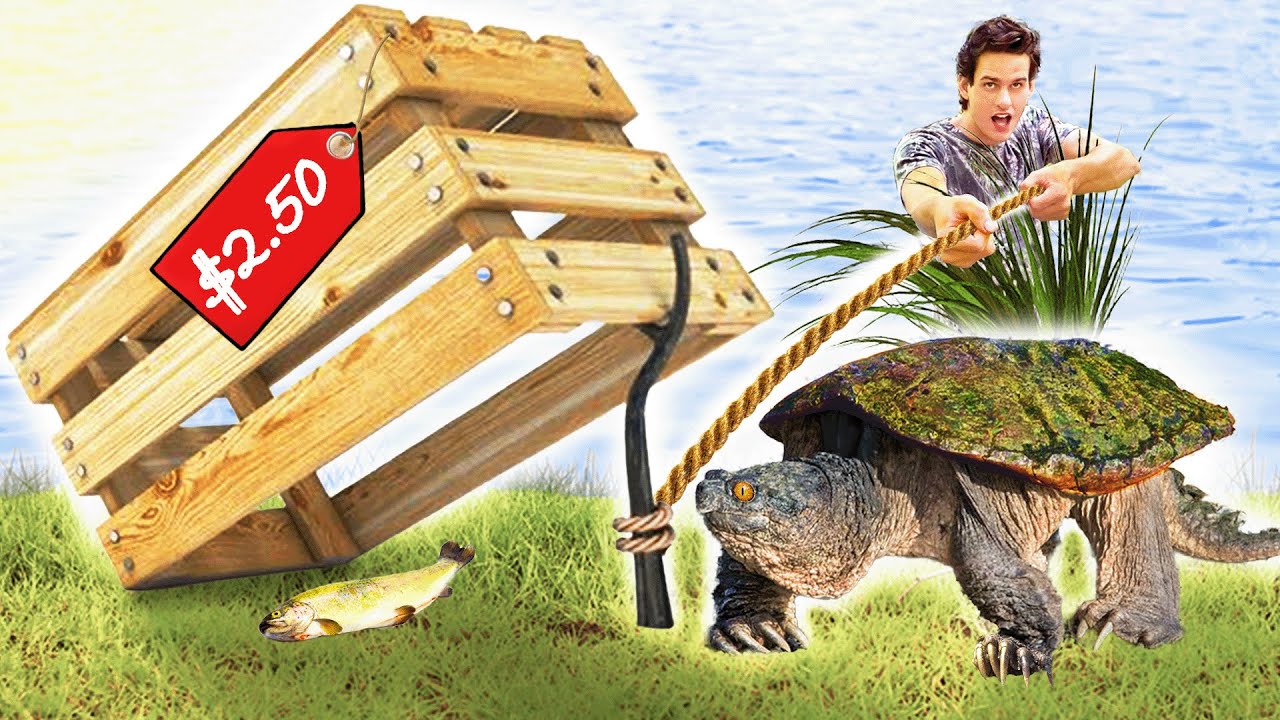 Cheap Vs Expensive SNAPPING TURTLE Trapping!