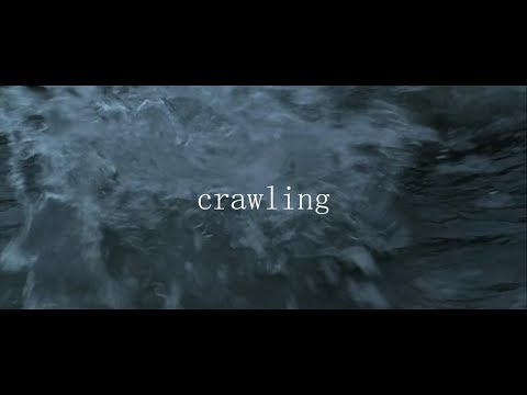 Albrecht Stein // c r a w l i n g   [NAPOLA]