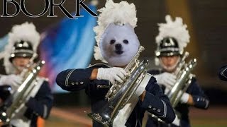 Doggo Corps International: The Borkcoats